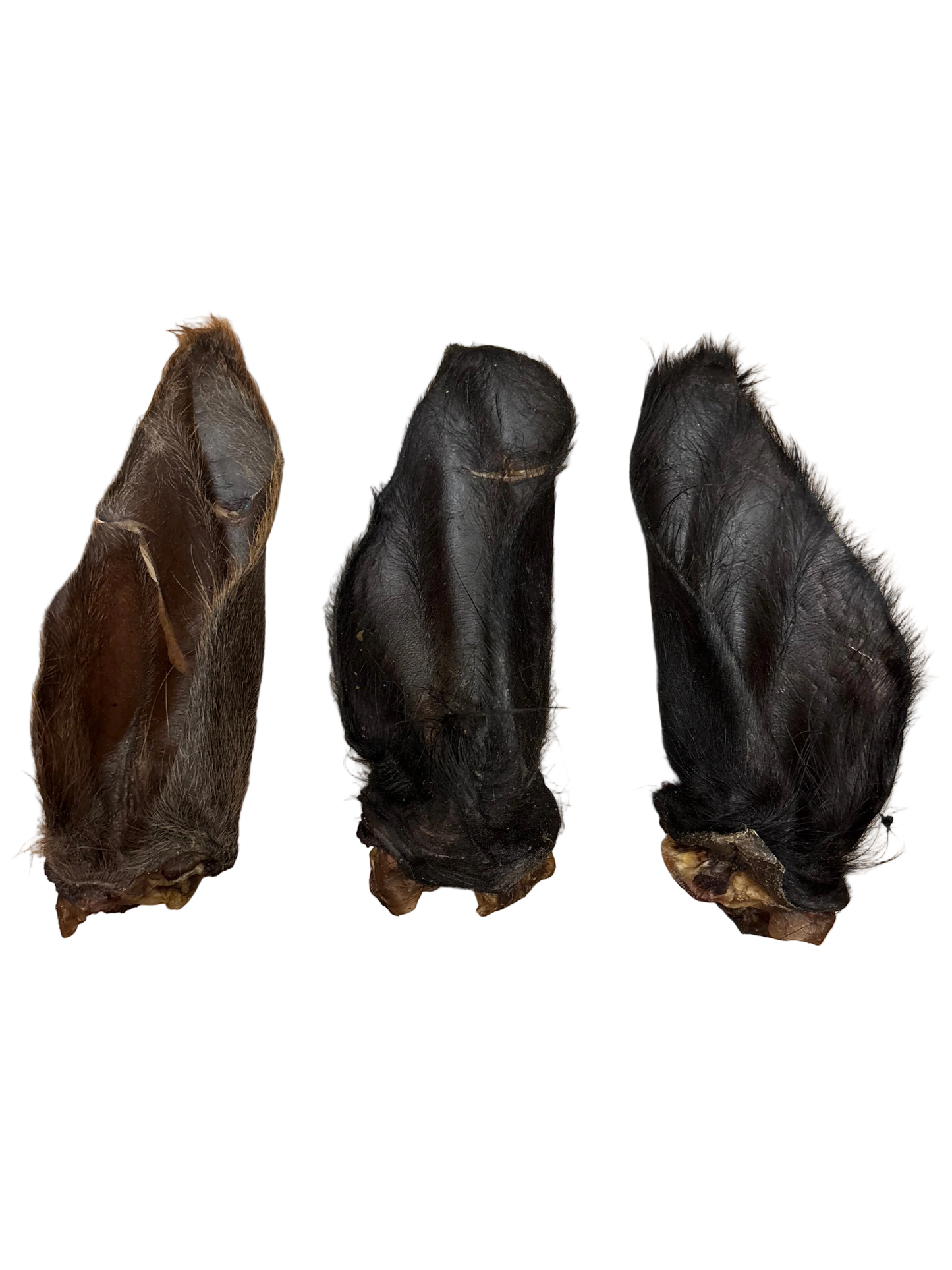 Meaty XL Hairy Buffalo ear