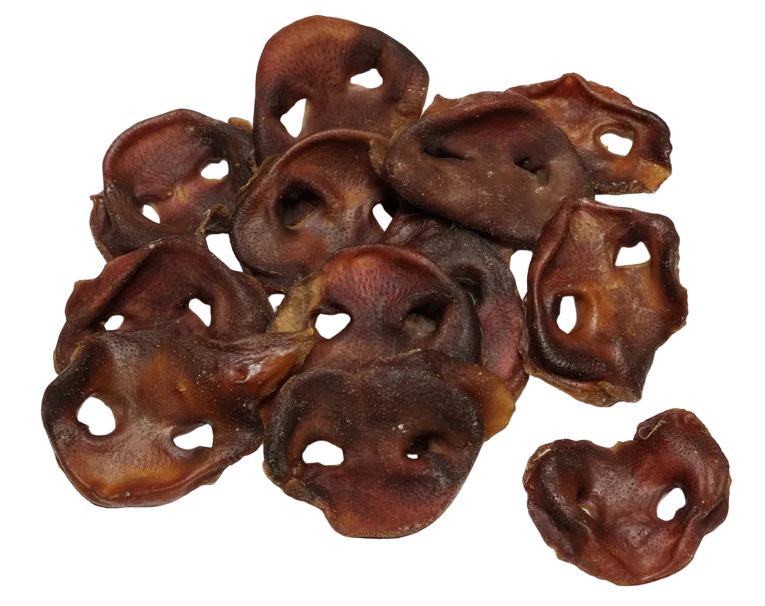 Dried pig snout