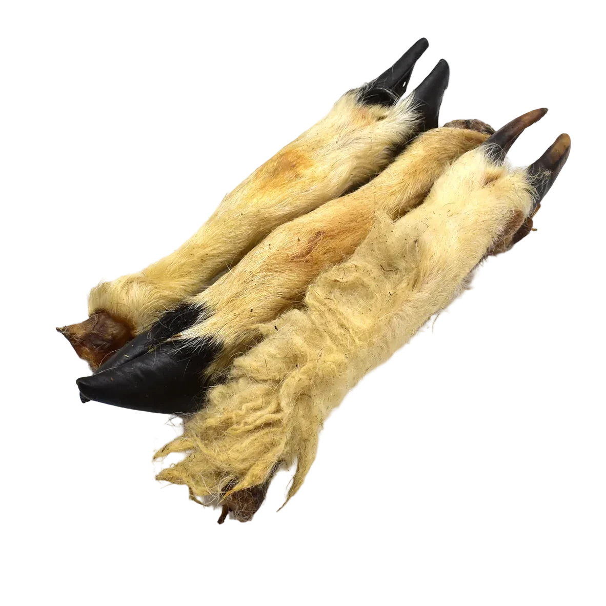 Hairy Lamb trotter