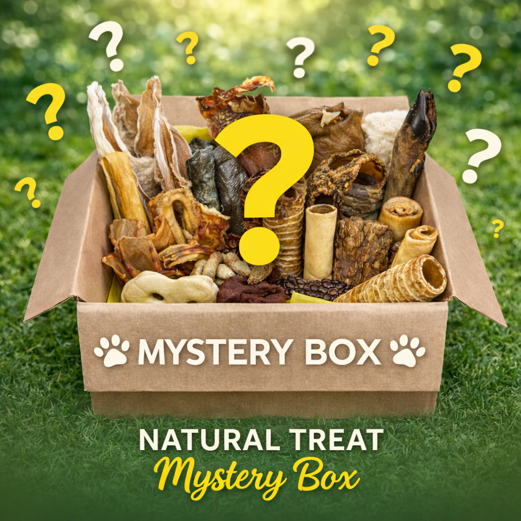 Mystery box