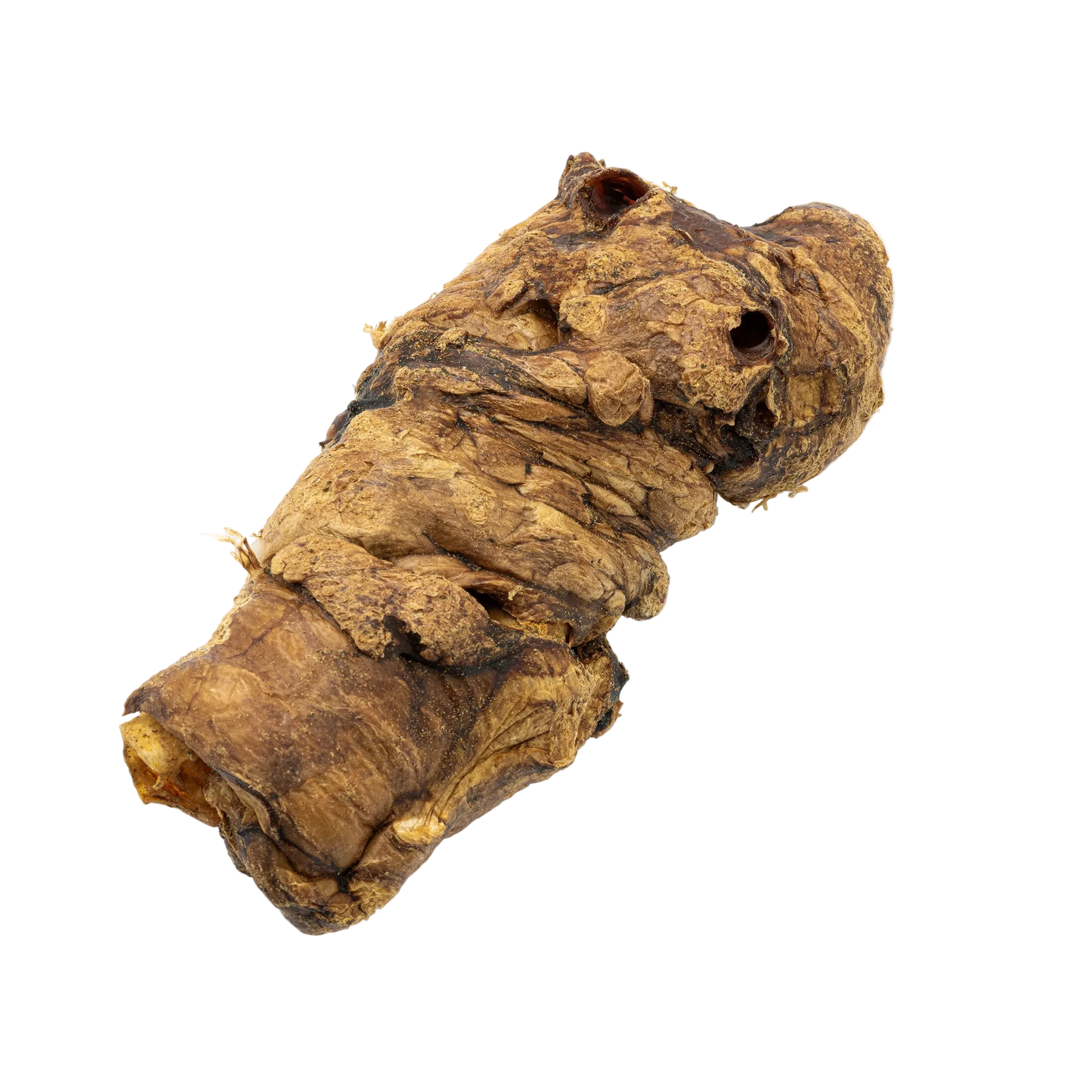 Buffalo trachea wrapped in Lung