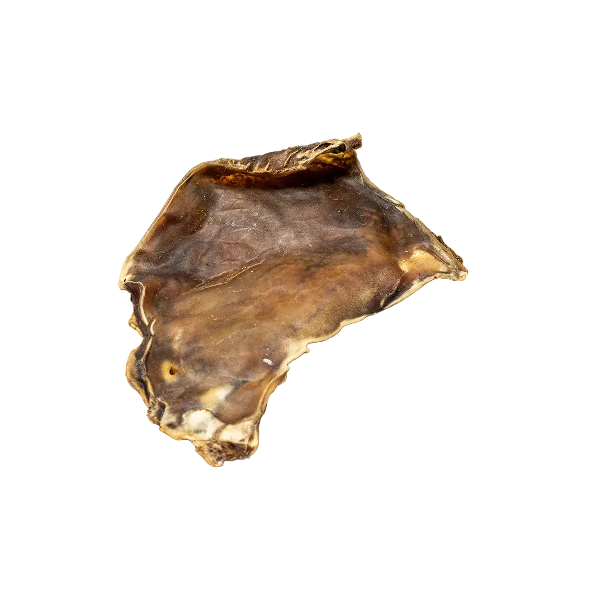 Camel skin plates