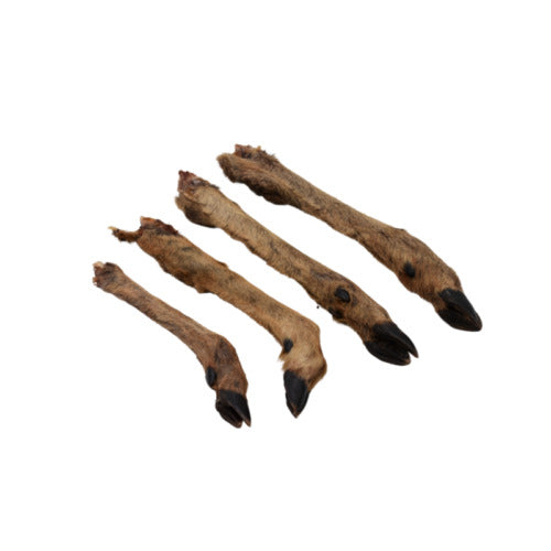 Deer Legs for Dogs: Are They Good or Bad?