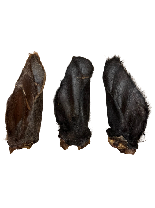 Meaty XL Hairy Buffalo ear