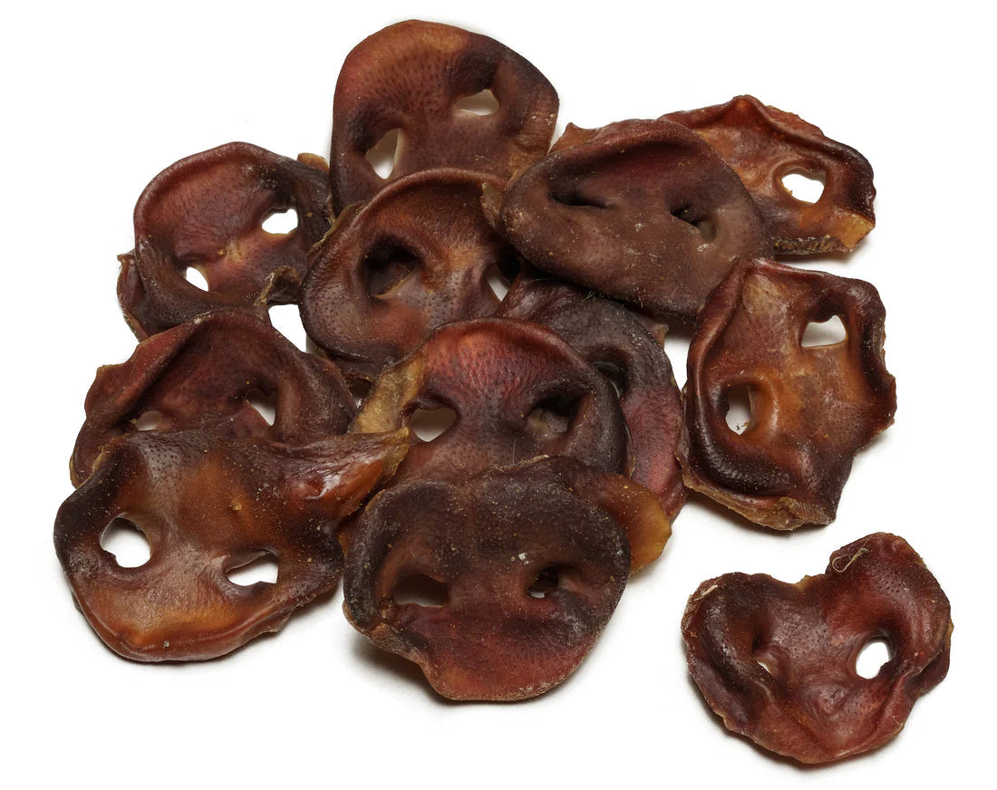 Dried pig snout