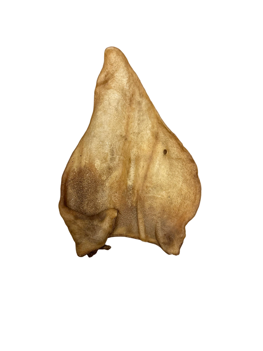 Plain Buffalo ears