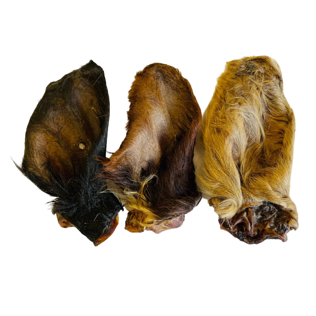 Hairy cow ears