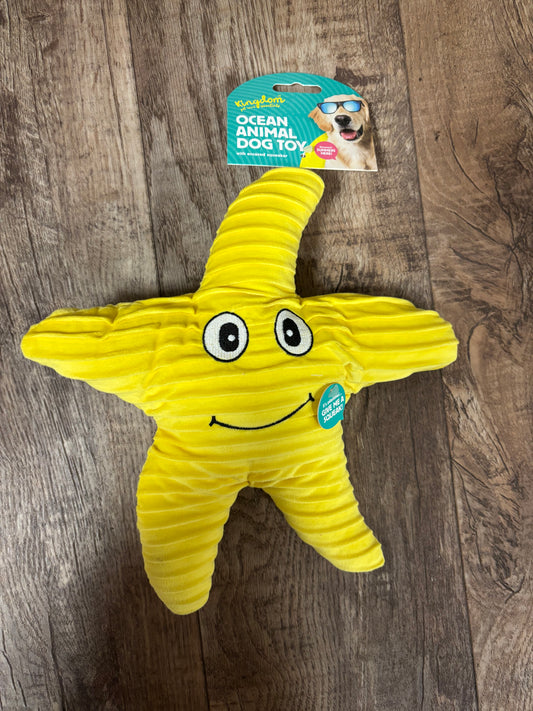 Star fish toy