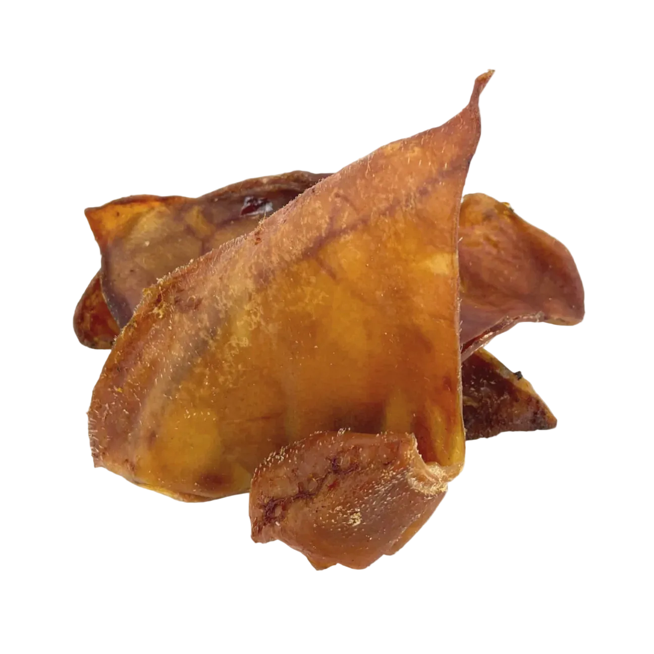 Large Pig ears