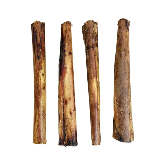 Ostrich Marrow bone