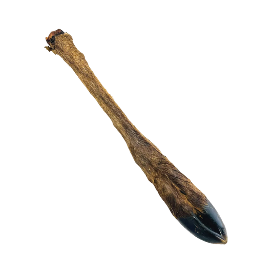 Large Deer leg