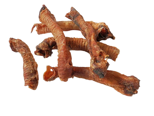 Lamb trachea