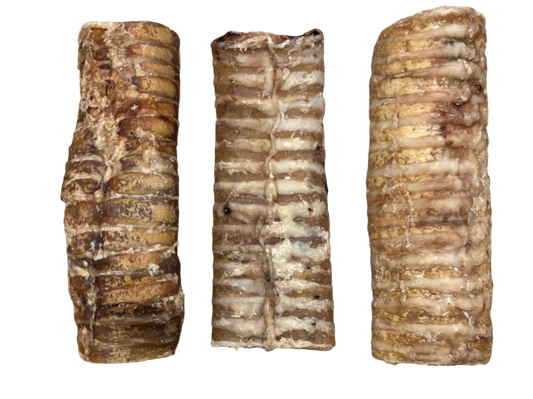 Buffalo trachea 15cm
