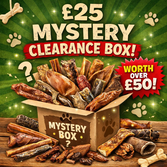 CLEARANCE MYSTERY BOX