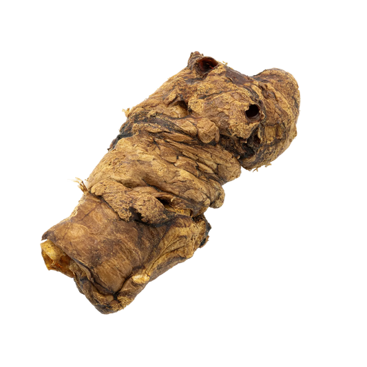 Buffalo trachea wrapped in Lung